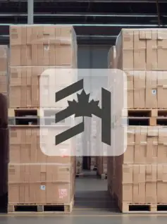 Econami Holdings Finds a Reliable Shipping Partner in Ship4wd