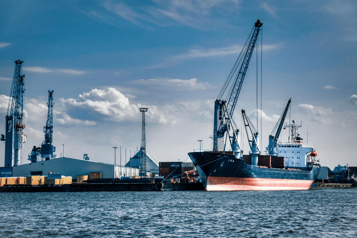 Tall cranes in action, unloading goods.