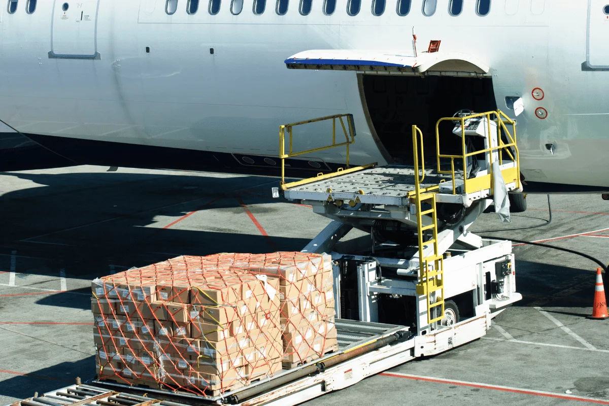 The cargo loading process at the airport with a netted shipment being transferred to an airplane.
