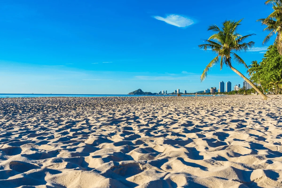 Sunlit sandy beach with palm trees and distant city skyline against a blue sky.