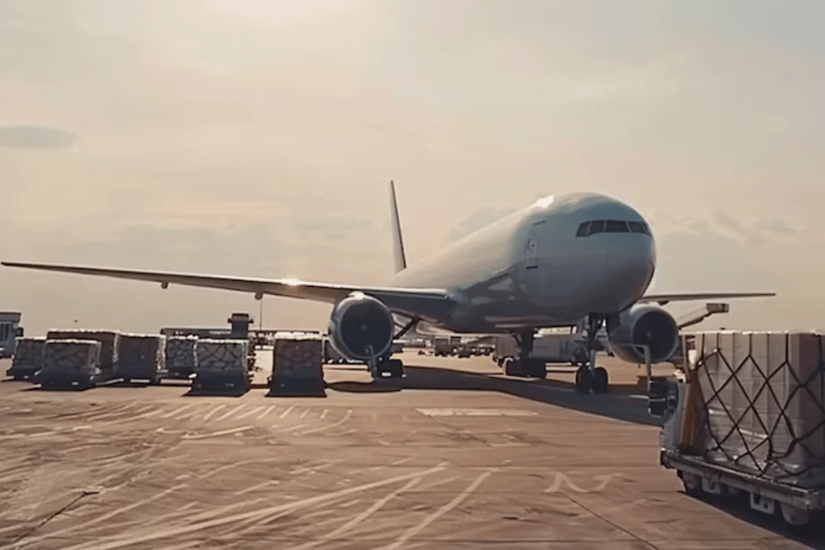 Cargo plane parked on the tarmac with loaded pallets ready for transport.